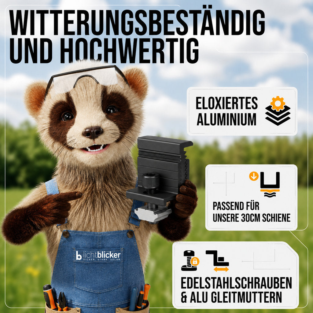 2x Endklemme für Solarmodul Halterung 30cm Schiene. 30-45mm Modulhöhe. Edelstahlschraube und Aluminium. Perfekt für Trapezbleche, Hauswand, Balkonkraftwerk. PV. 0%MwSt