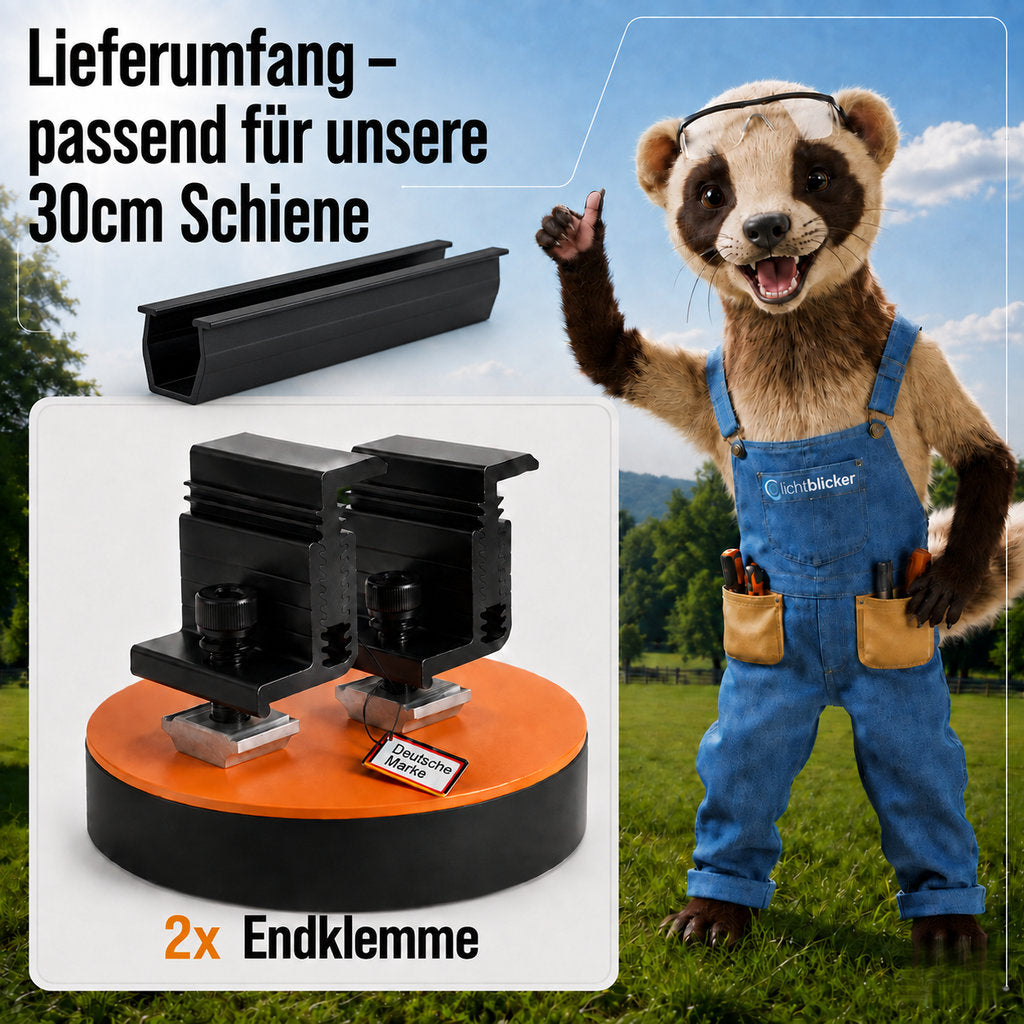 2x Endklemme für Solarmodul Halterung 30cm Schiene. 30-45mm Modulhöhe. Edelstahlschraube und Aluminium. Perfekt für Trapezbleche, Hauswand, Balkonkraftwerk. PV. 0%MwSt